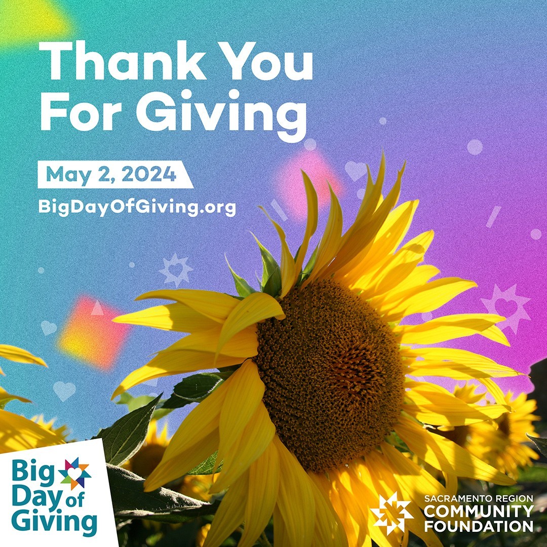 Merci for your Big Day of Giving 2024 Donations!