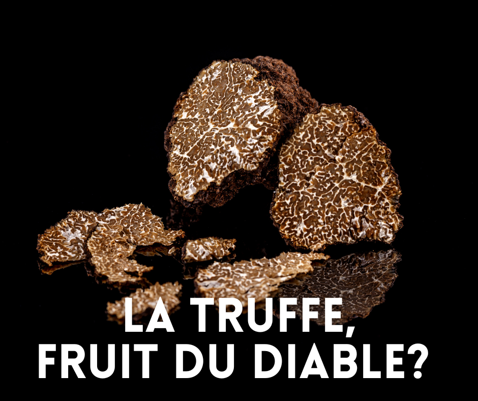 Pourquoi dit-on que la truffe est le fruit du diable?